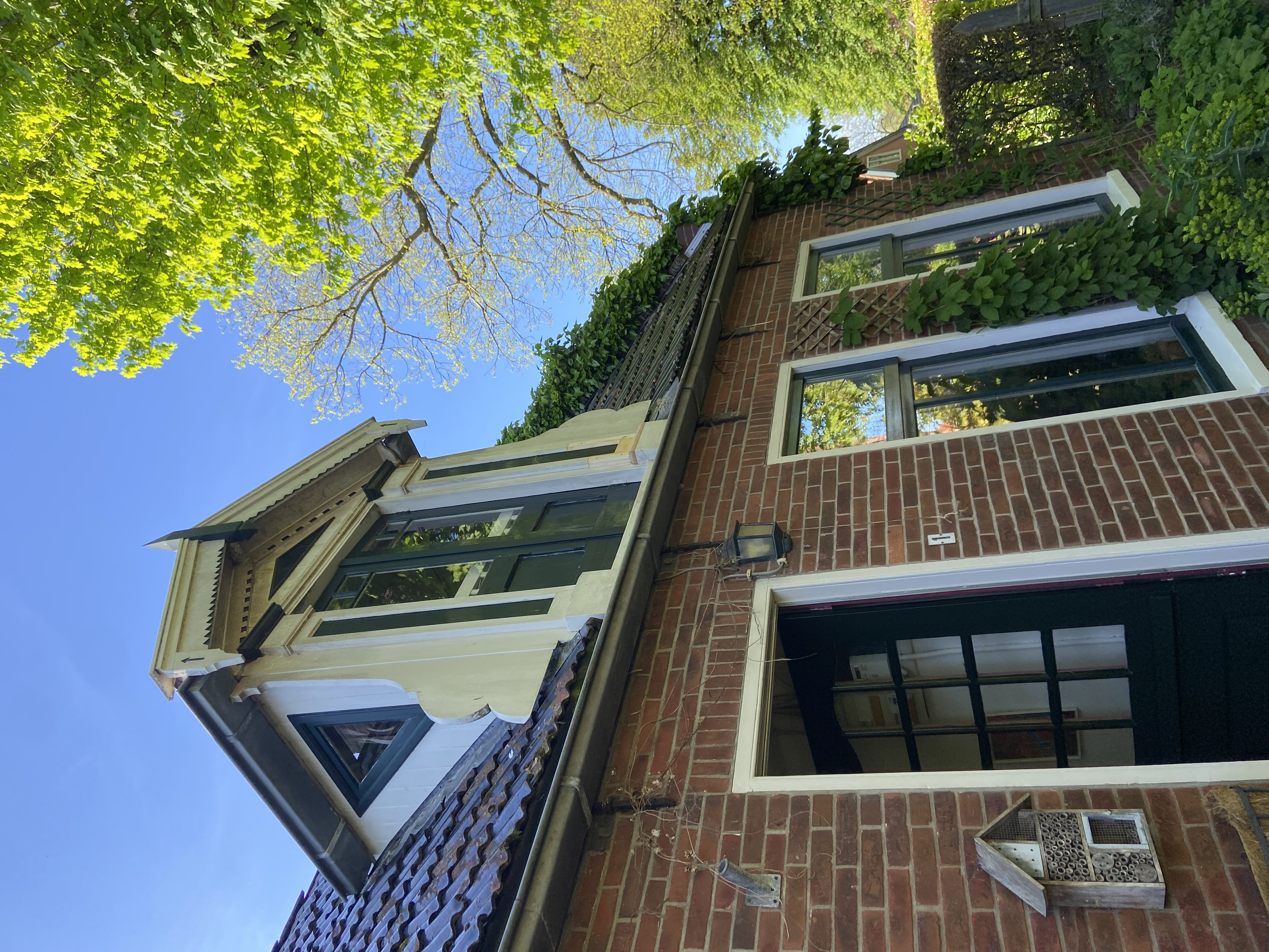 Houtrot herstel dakkapel